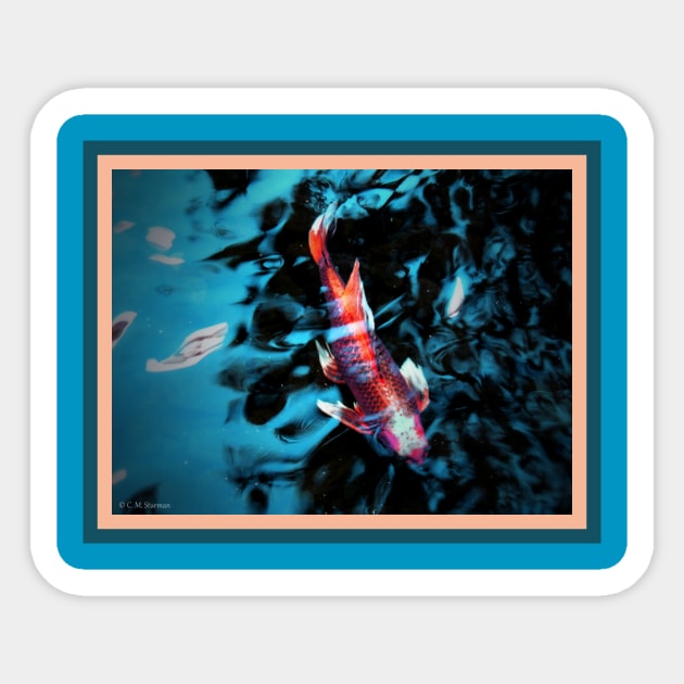 Retro Koi Pond Sticker by csturman